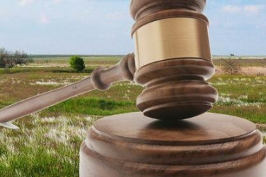 The total area of ​​leased plots amounted to 14.53 thousand hectares