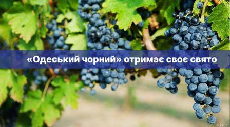 «Одеський чорний» отримає своє свято
